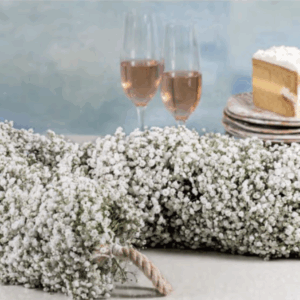 Garlands Gypso - 14 feet